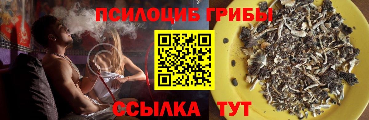 Гудермес  Галлюциногенные грибы MAGIC MUSHROOMS  Галлюциногенные грибы MAGIC MUSHROOMS  Вход с VPN 